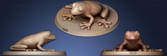 Realistic Frog